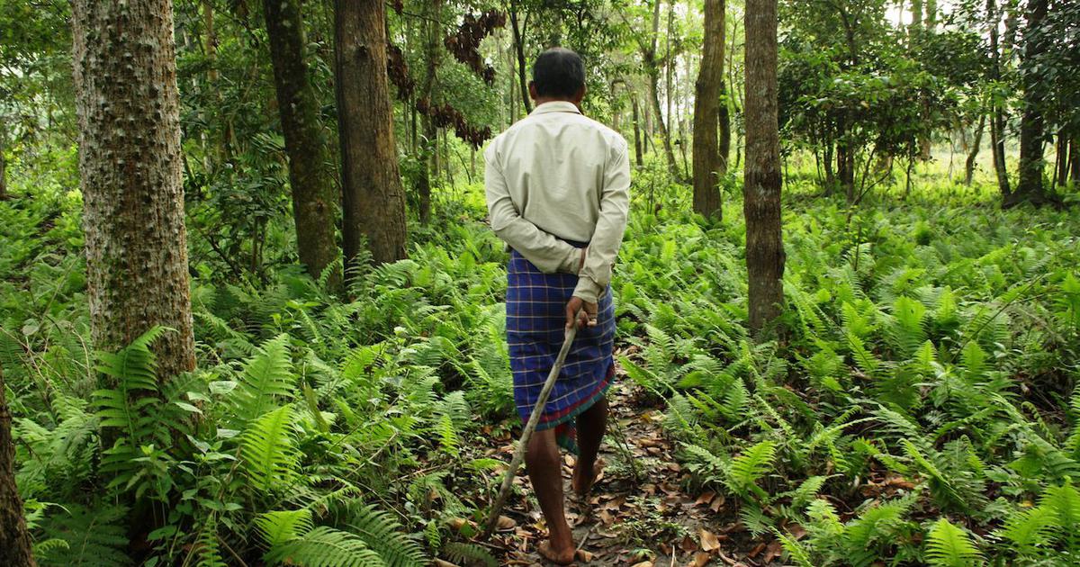 Rights of a Traditional Forest Dweller – A Socio-Legal Study