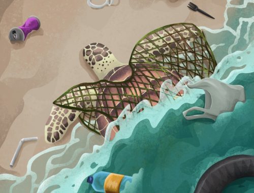 Plastic Pollution